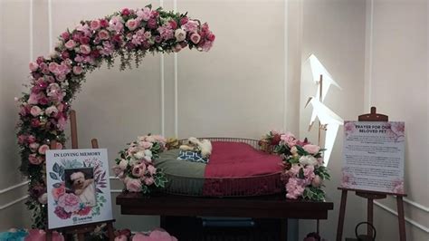 pet cremation baguio|Top 25 Pet Funeral Service suppliers in Philippines .